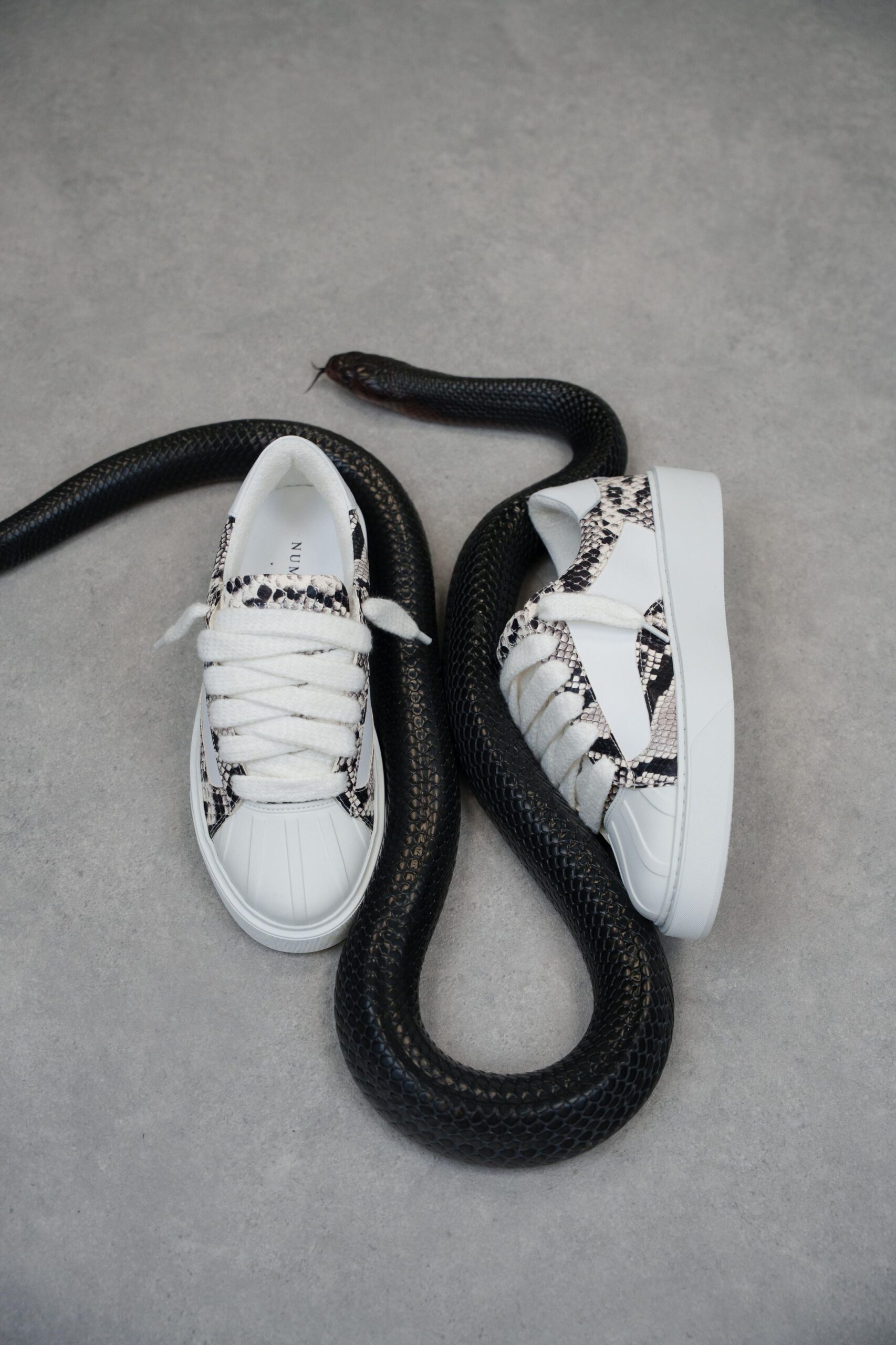 Eclipse - Python White – Image 5